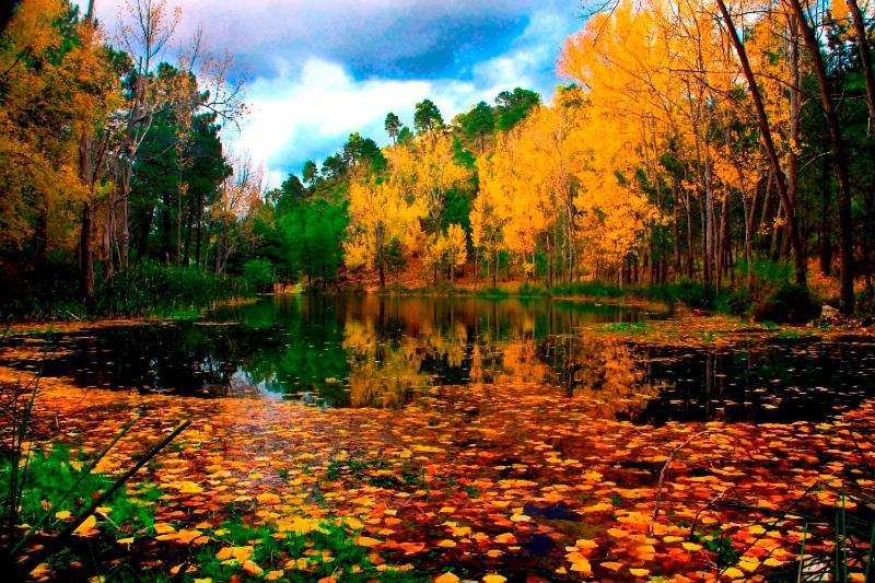 Casa Rural Nacimiento Rio Mundo Ріопар Екстер'єр фото
